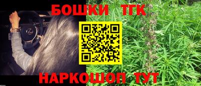 бошки Дубна