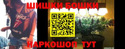 бошки Дубна