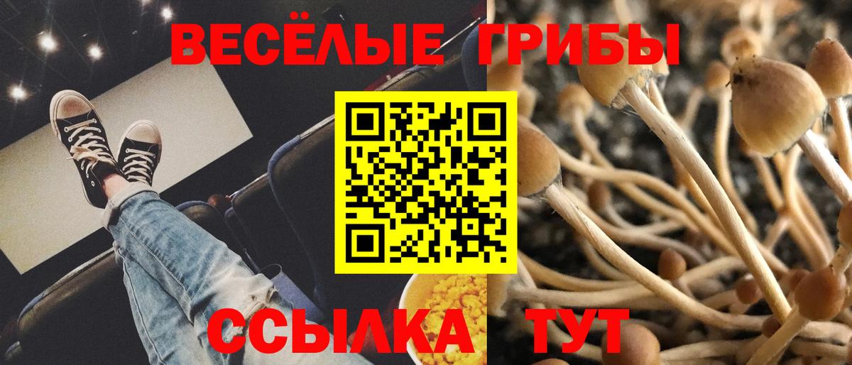Петрозаводск  Галлюциногенные грибы Psilocybe  где купить наркоту  Вход с VPN 